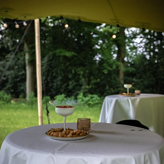 Exclusief en intiem feest staantafels