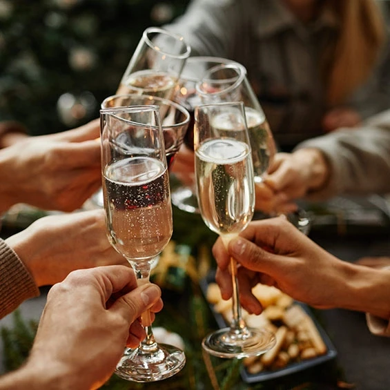 Feesten-organiseren-vergaderen-babyshower-Kasteel-Bijstervelt