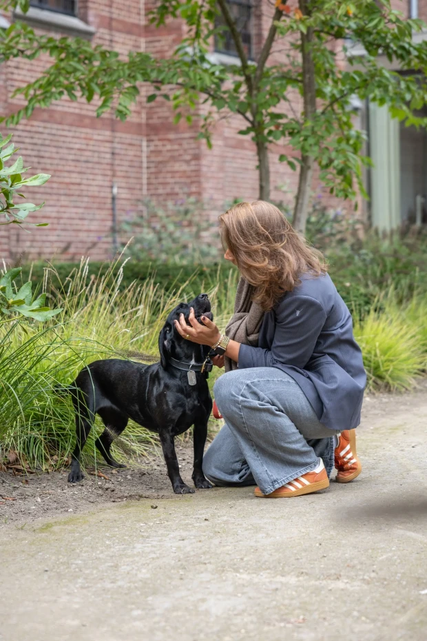 Workshop honden spiegelen op Landgoed Bijstervelt
